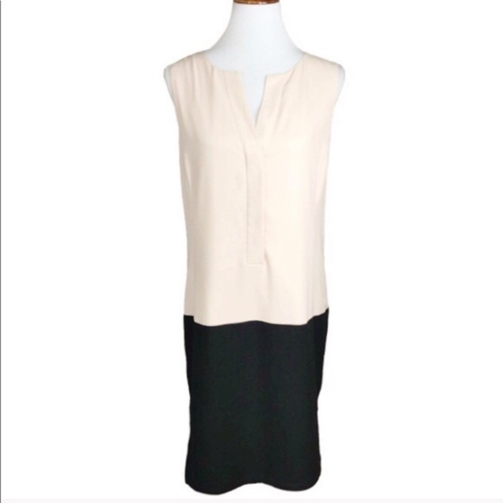 Blush & Black Colorblock Shift Dress